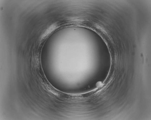 X0000068271354200604211059