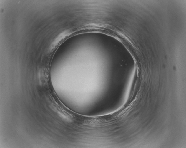 X0000068271355200604211059