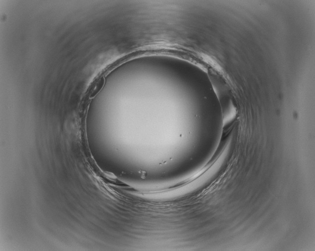 X0000068271356200604211059