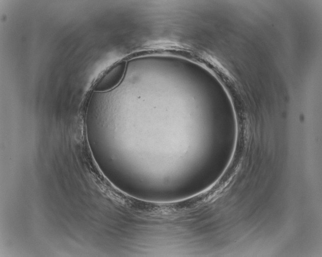 X0000068271358200604211059