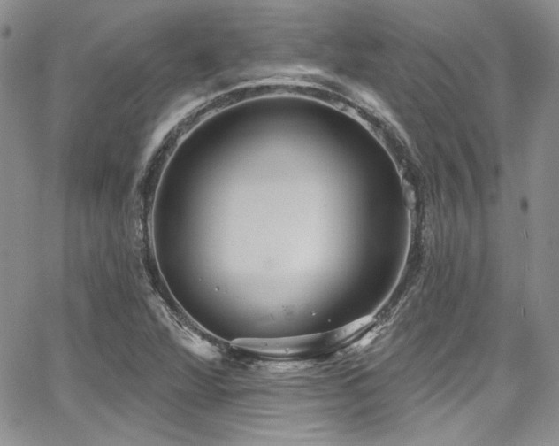 X0000068271360200604211059