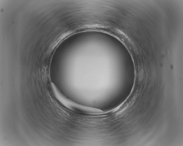 X0000068271361200604211059