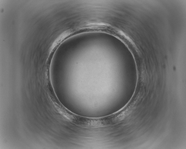 X0000068271362200604211059