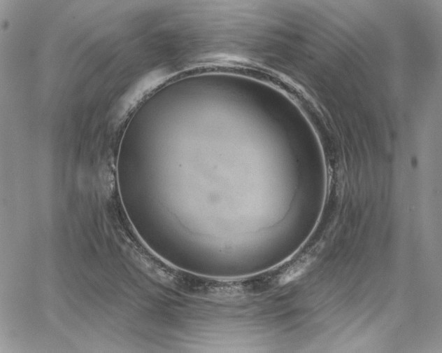 X0000068271363200604211059