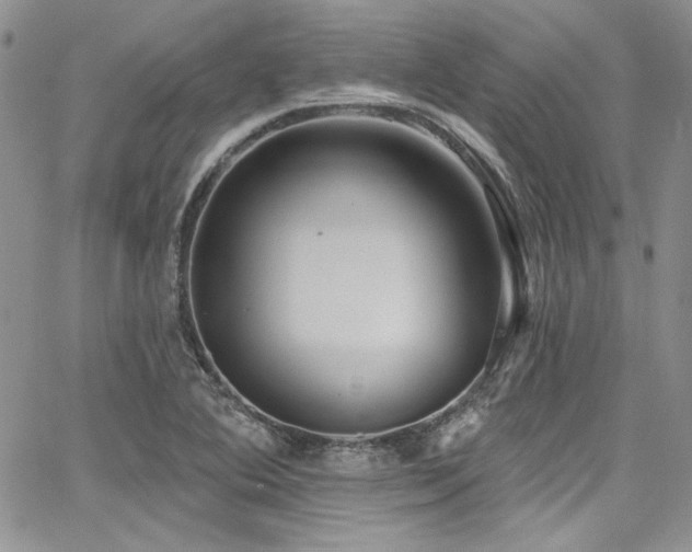 X0000068271364200604211059