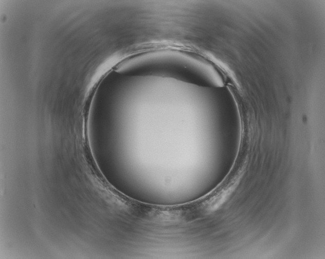 X0000068271365200604211059