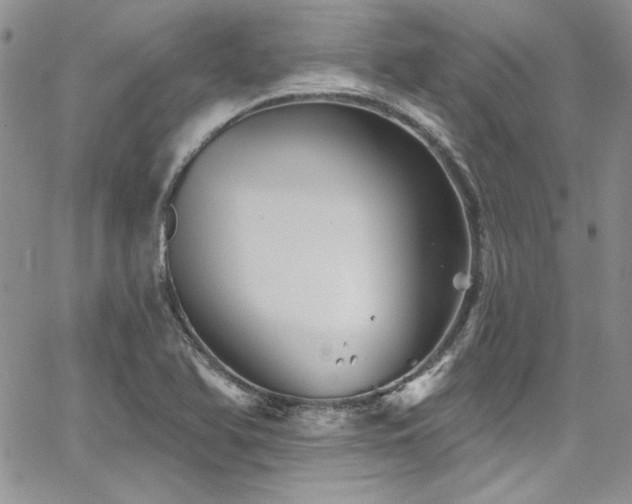 X0000068271366200604211059