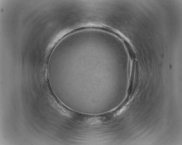 X0000068271367200604211059