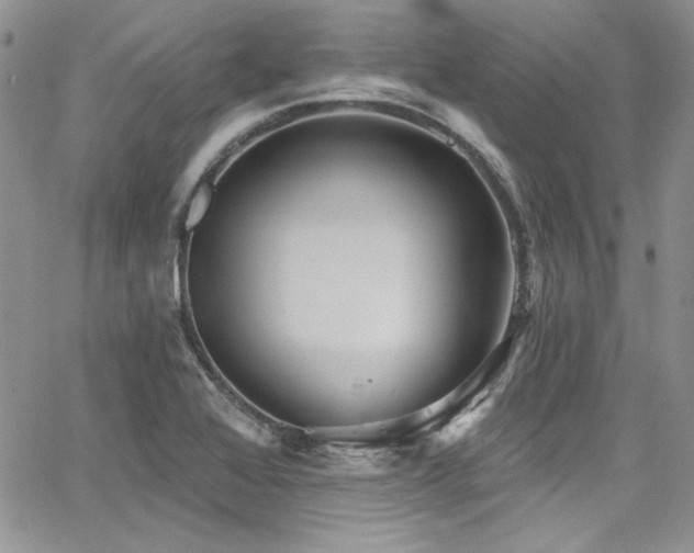 X0000068271368200604211059