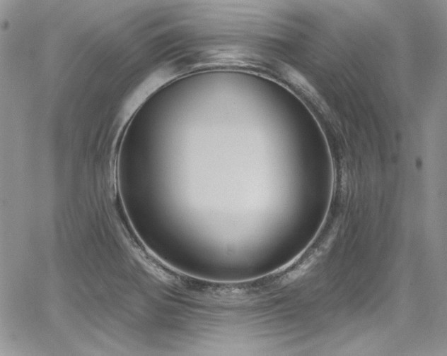 X0000068271370200604211059