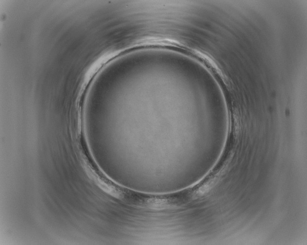 X0000068271371200604211059