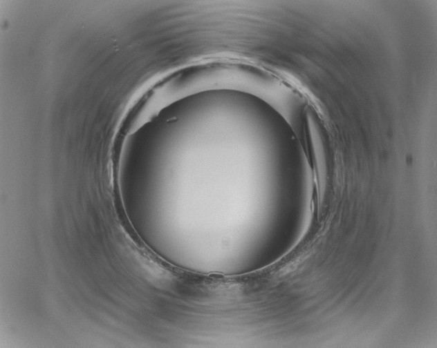 X0000068271372200604211059