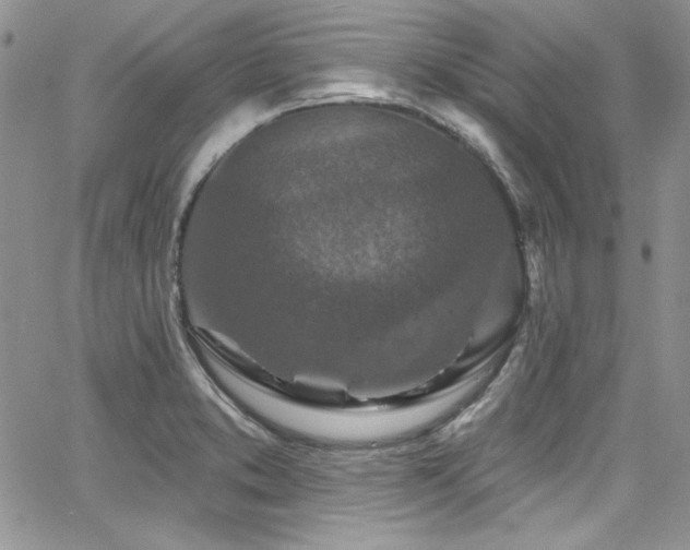 X0000068271373200604211059