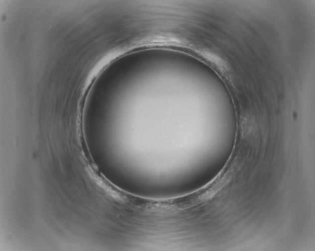 X0000068271374200604211059