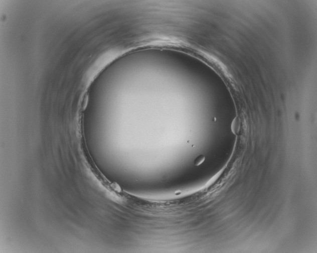 X0000068271375200604211059