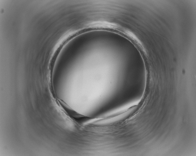 X0000068271376200604211059