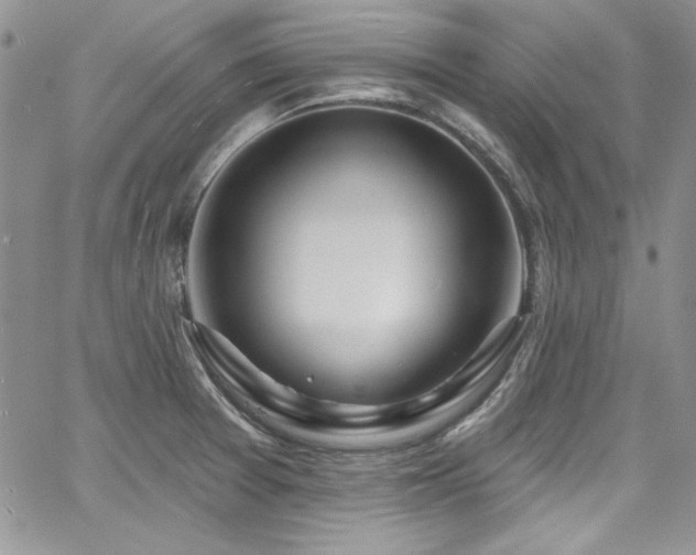 X0000068271377200604211059