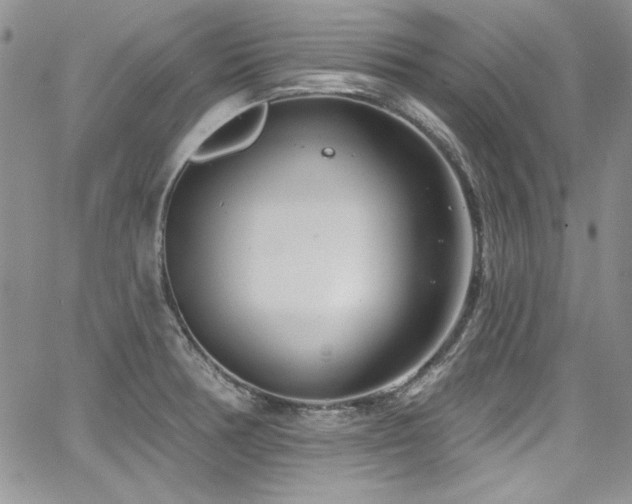 X0000068271378200604211059