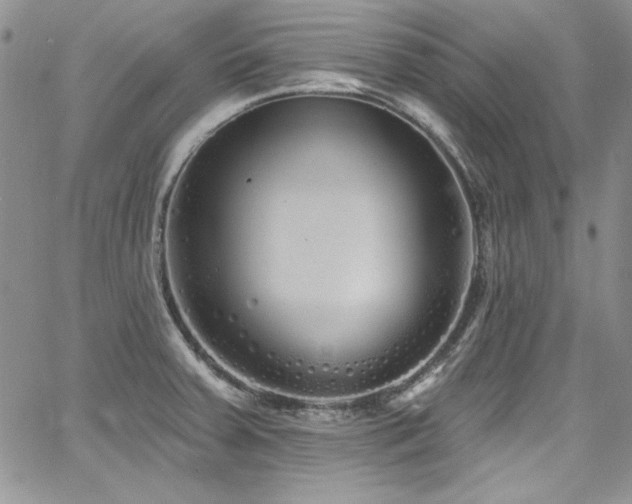 X0000068271379200604211059