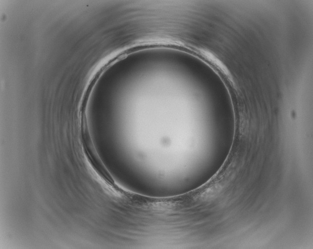 X0000068271380200604211059