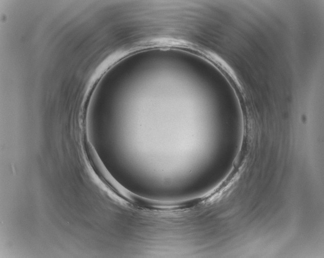 X0000068271381200604211059