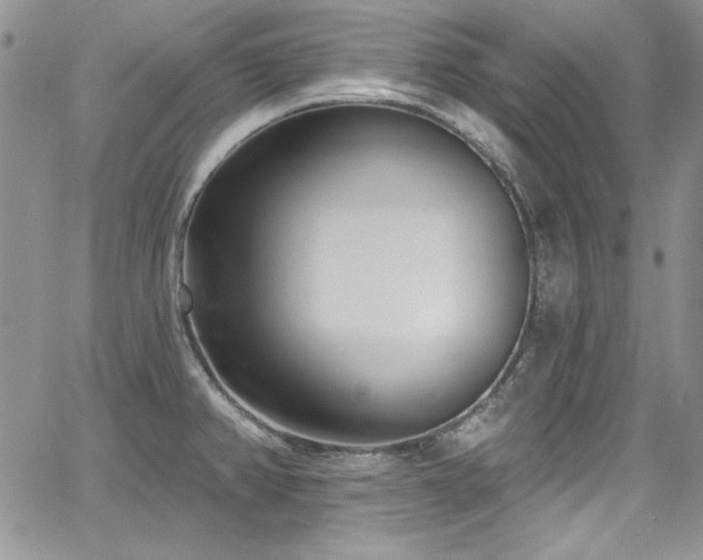 X0000068271382200604211059