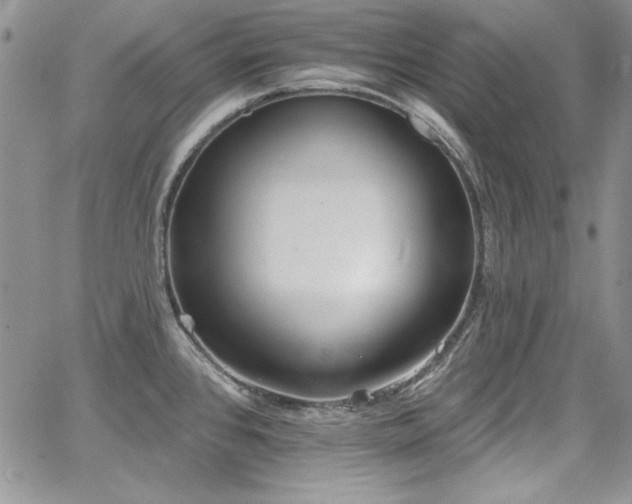 X0000068271384200604211059