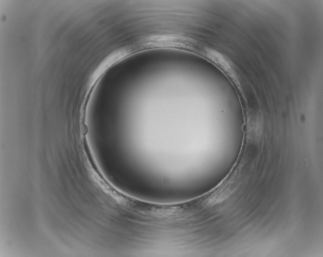 X0000068271386200604211059