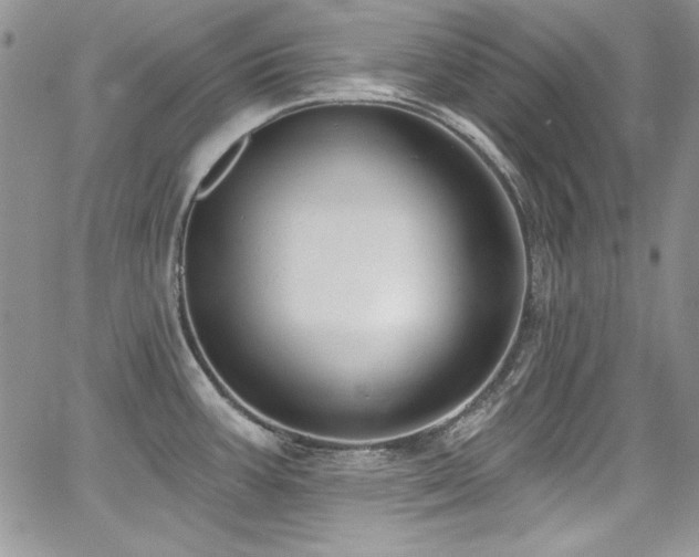 X0000068271387200604211059