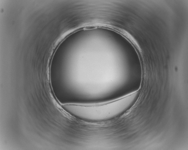 X0000068271388200604211059