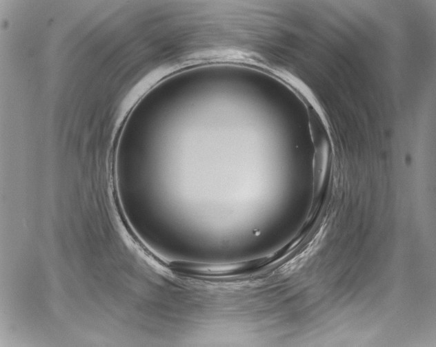 X0000068271389200604211059