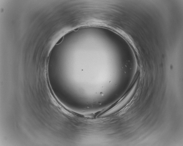 X0000068271390200604211059