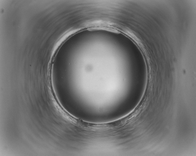 X0000068271392200604211059