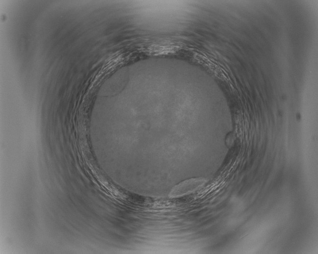 X0000068271393200604211058