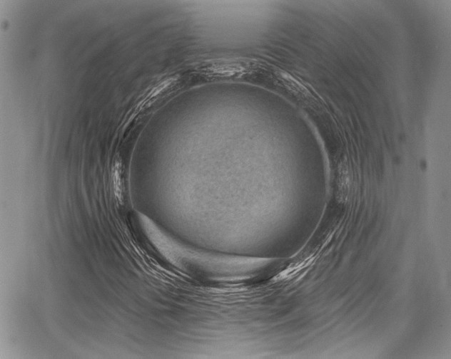 X0000068271394200604211058