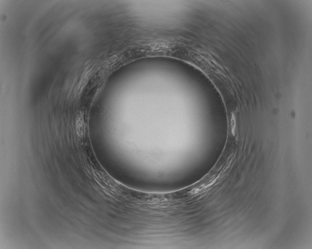 X0000068271395200604211058