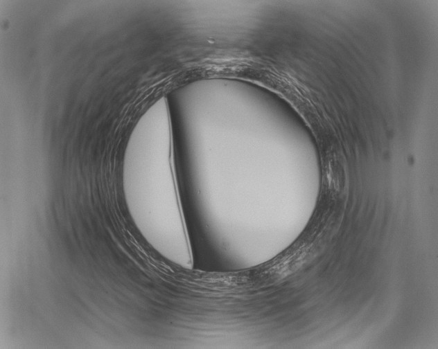 X0000068271396200604211058