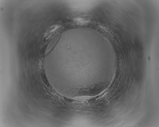 X0000068271397200604211058