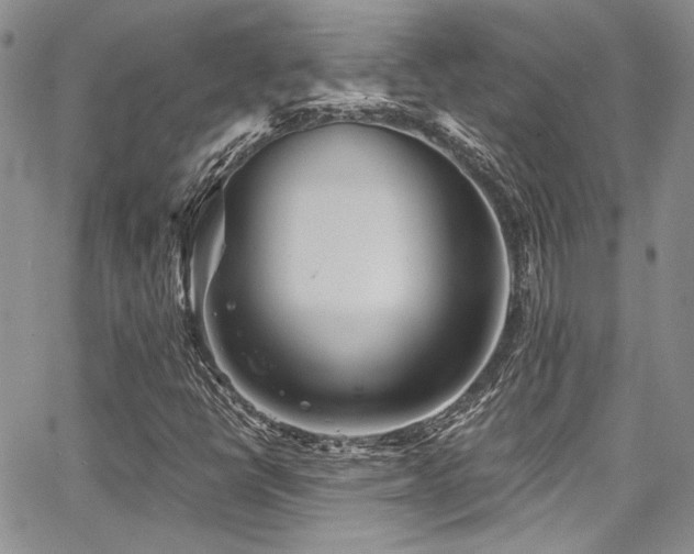 X0000068271398200604211058