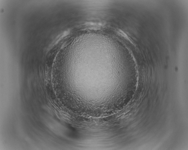 X0000068271399200604211058