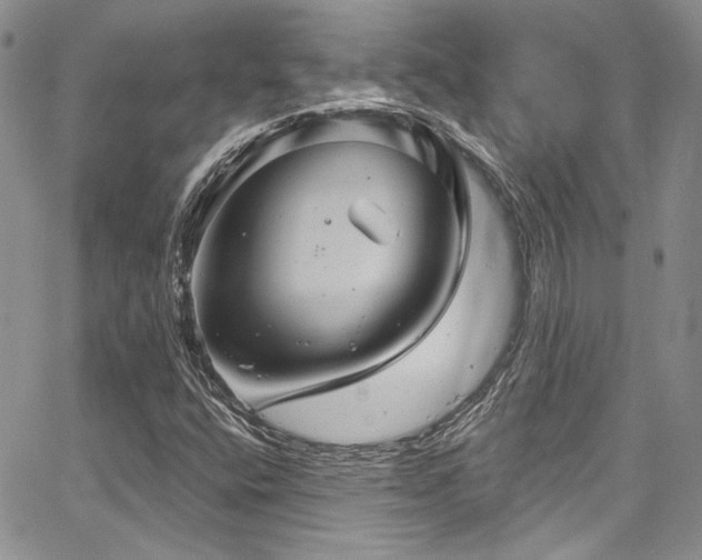 X0000068271400200604211058