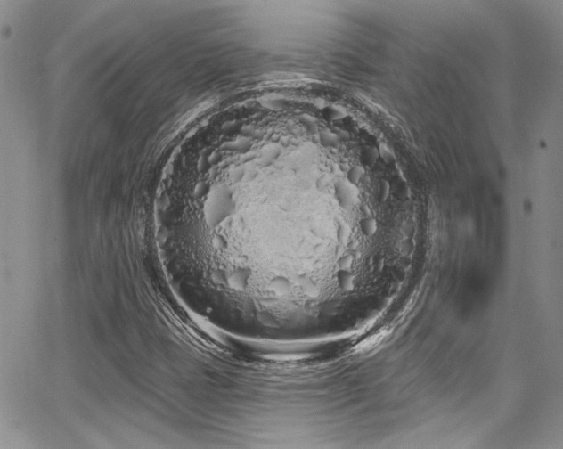 X0000068271401200604211058