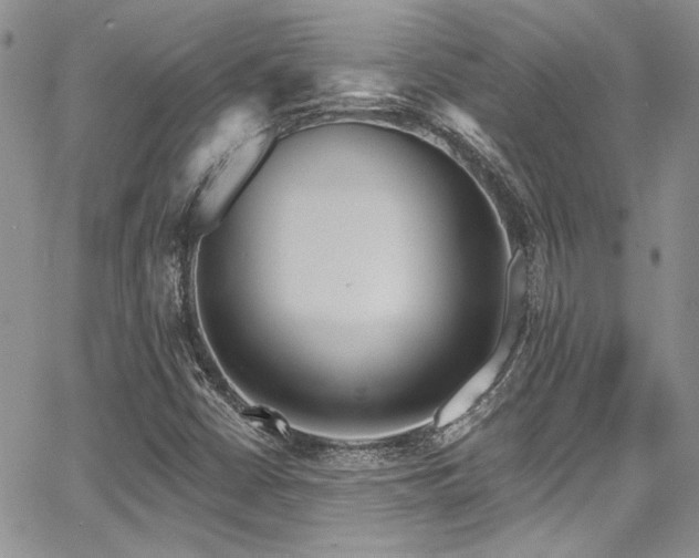 X0000068271402200604211058