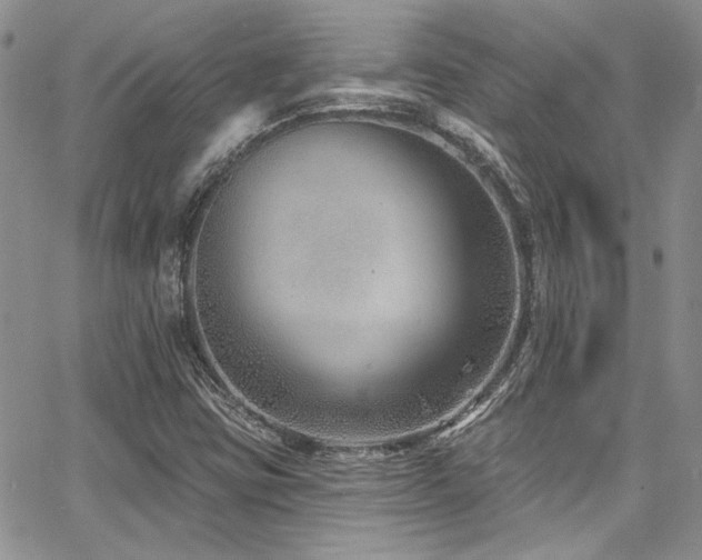 X0000068271403200604211058