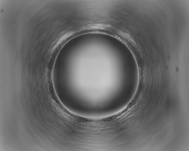 X0000068271404200604211058