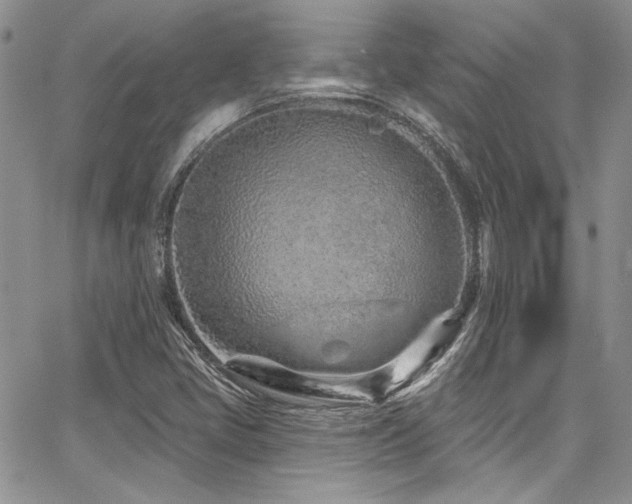 X0000068271405200604211058