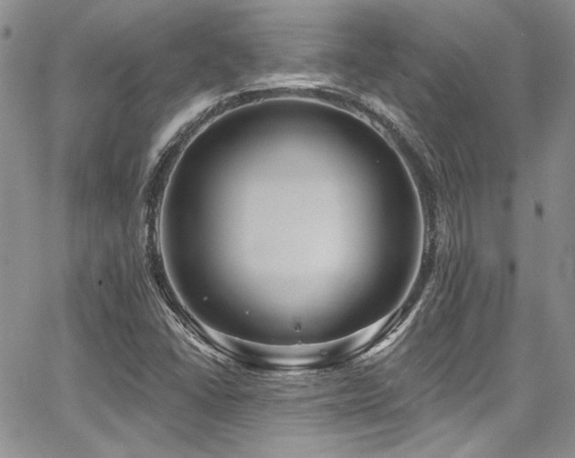 X0000068271406200604211058