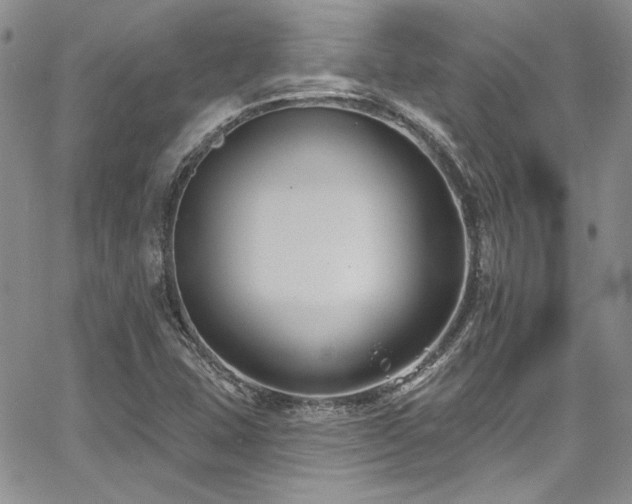 X0000068271407200604211058