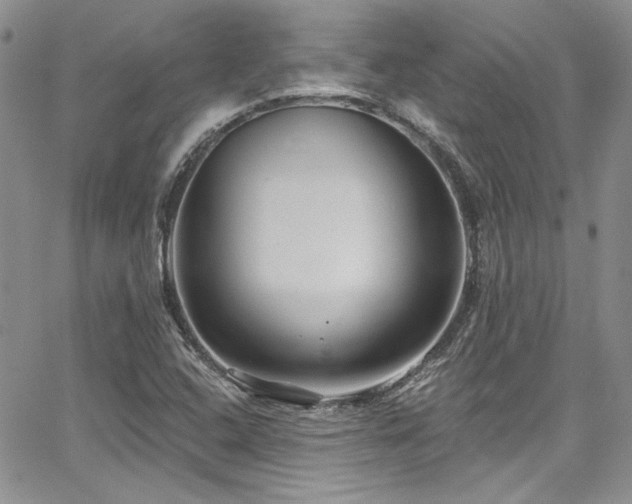 X0000068271408200604211058