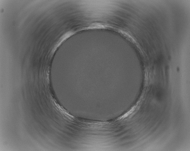 X0000068271409200604211058